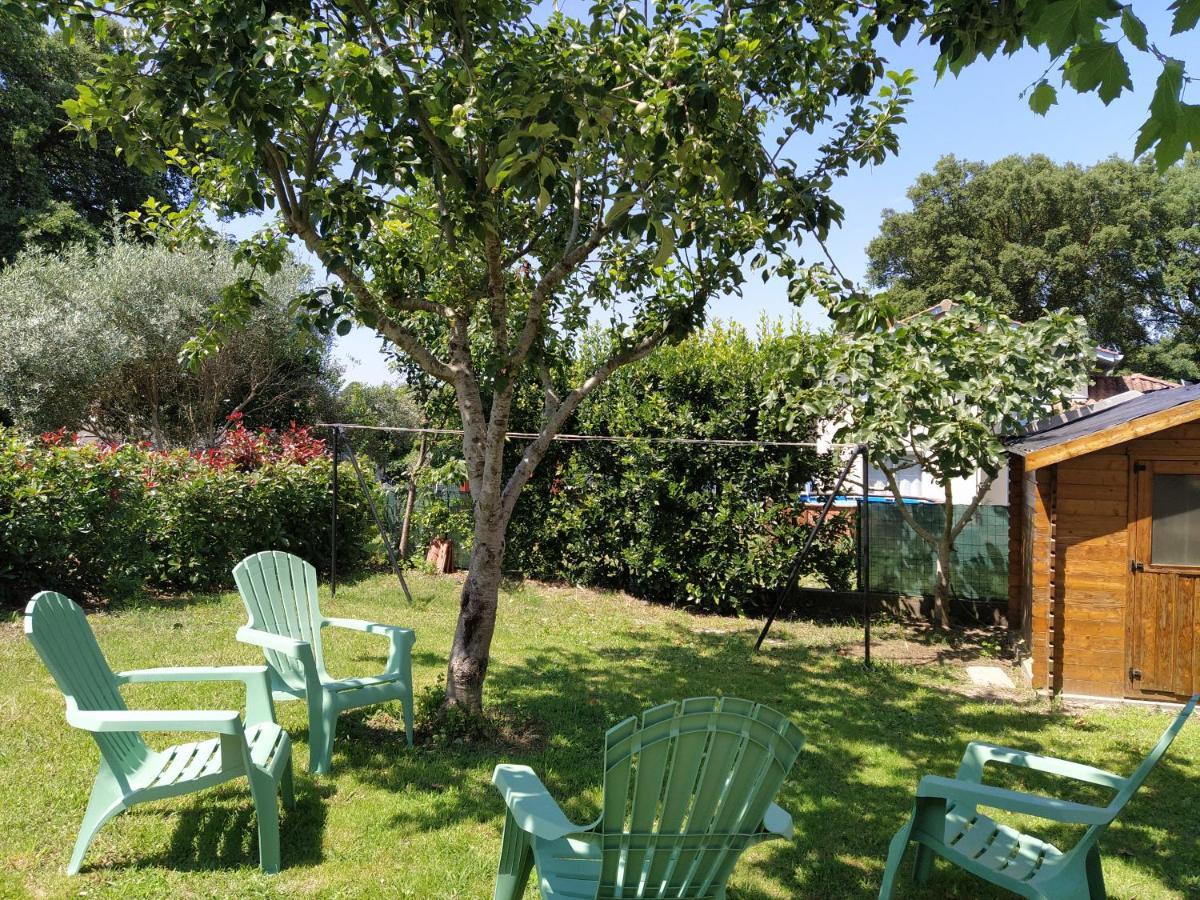 Maison Christy, Spacieux, Calme Avec Jardin Ondres Dış mekan fotoğraf